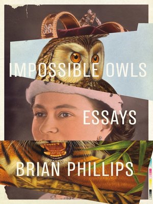 cover image of Impossible Owls